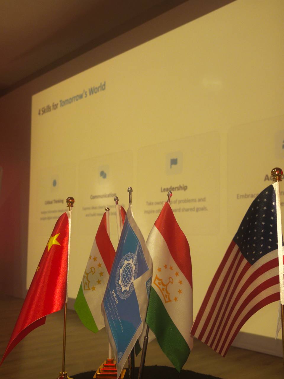 A row of national table flags and a DMUN flag in front of a projected presentation.